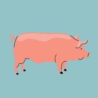 Pink pig vector illustration, cute big domestic animal. Hand drawn vector illustration