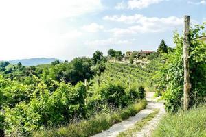 Scenic rural landscape photo