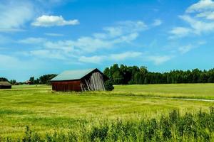 Rural landscape in Sweden photo