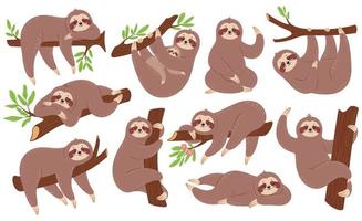 Sloth. Funny sloths hanging on branch, climbing tree, sleeping. Cute baby animal with mother. Lazy sleepy animals in various poses vector set