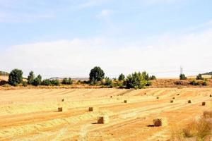 Scenic rural landscape photo