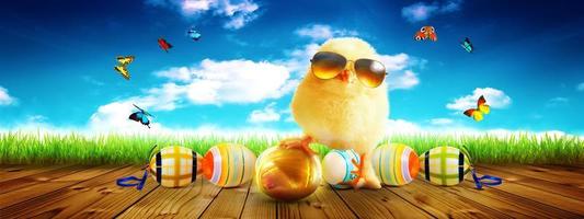 Funny cute baby chick with sunglasses and egg. photo