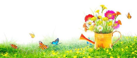 Colorful wild flower bouquet in a watering can with butterflies. photo