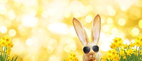 Funny Easter bunny. Happy Easter holiday concept. photo