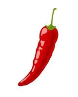 Ripe red hot chili pepper, hand drawn vector illustration isolated on white background. Healthy vegetables icons. Clipart.
