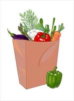 Grocery purchases, paper bag full of healthy vegetables, Natural food, organic vegetable. Department store goods. hand drawn vector illustration isolated on white background.