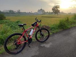 Bicycle on the road in the park photo