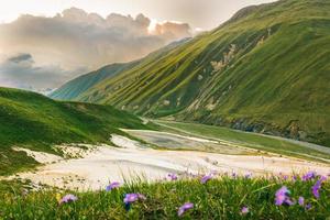 Travertines natural monument in scenic Truso valley in summer months. Famous travel destination in Kazbegi national park. Spring in caucasus travel holiday