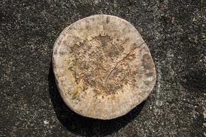 broken wooden cutting board, circular, telenan with the sun's shadow, cutting board made of cut tree trunks, Copy space, empty space, background photo