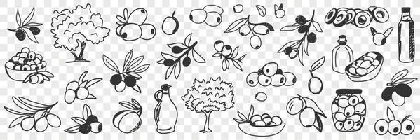 Olive oil production doodle set. Collection of hand drawn various olive trees fruits oil bottles and jars for eating and cooking in rows isolated on transparent background vector