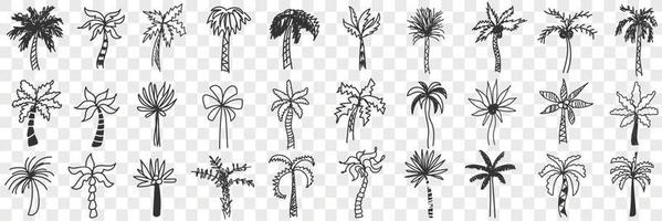 Exotic palm trees doodle set. Collection of hand drawn various shapes and styles of southern exotic palm trees with trunks and leaves isolated on transparent background vector