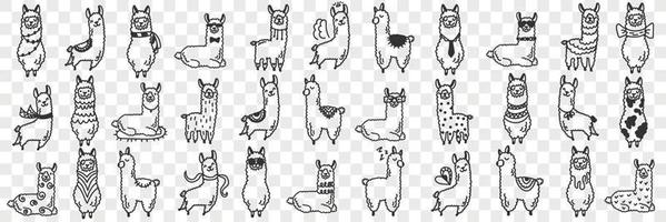 Funny alpacas animals doodle set. Collection of hand drawn various funny cute alpaca animals in different poses enjoying life isolated on transparent background vector