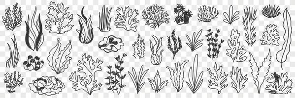 Growing plants silhouettes doodle set. Collection of hand drawn various types of grass and plants growing natural pattern in rows isolated on transparent background vector