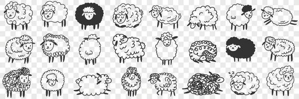 Funny white and black sheep animals doodle set. Collection of hand drawn various funny cute fluffy sheets in farms in different poses enjoying life isolated on transparent background vector