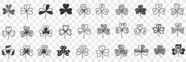 Clover plant pattern doodle set. Collection of hand drawn natural clover plants of various pattens in rows decoration isolated on transparent background vector