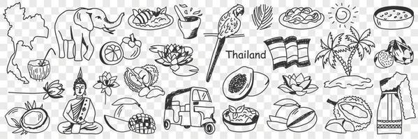 Thailand cultural symbols doodle set. Collection of hand drawn various thai signs elephant parrot bus tourist papaya palm tree sun beach sea map cocktail costume isolated on transparent background vector