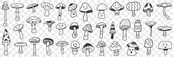 Edible and inedible mushroom doodle set. Collection of hand drawn edible and inedible mushrooms types growing in forest for picking isolated on transparent background vector