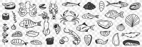 Seafood and fish doodle set. Collection of hand drawn crab shrimp prawn octopus shells caviar squid various fish for making dishes and sushi isolated on transparent background vector