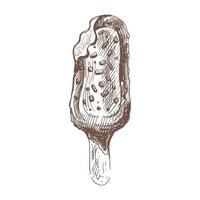 un dibujado a mano bosquejo de hielo crema, paleta de hielo en un palo en chocolate. Clásico ilustración. elemento para el diseño de etiquetas, embalaje y postales vector