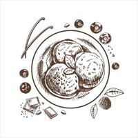 A hand-drawn sketch of an ice cream balls  in a plate with chocolate,  berries, vanilla pods.  Top view. Vintage illustration. Element for the design of labels, packaging and postcards. vector