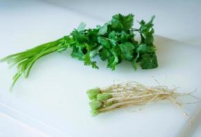 coriander root with leaf vegetable on the cutting board photo