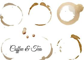 realista café y té taza anillos aislado en un blanco antecedentes. vector