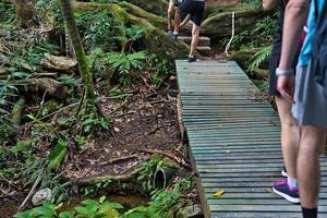 copolia trail, clients on bridge, Mahe Seychelles photo