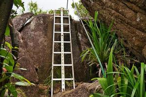 copolia trail, Steel ladder before the top of the trail Mahe Seychelles photo