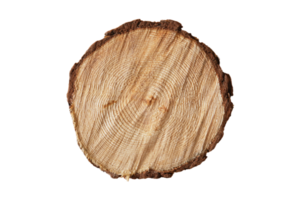 Brown wood isolated on a transparent background png