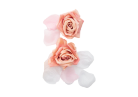 Rose fleurs isolé sur une transparent Contexte png