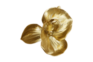 golden Dekoration Blatt isoliert auf ein transparent Hintergrund png