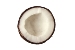 Hälfte Kokosnuss isoliert auf ein transparent Hintergrund png
