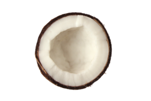 Half coconut isolated on a transparent background png