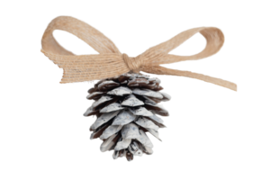 Brown christmas pine cone isolated on a transparent background png