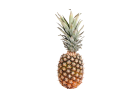 Pineapple fruit isolated on a transparent background png