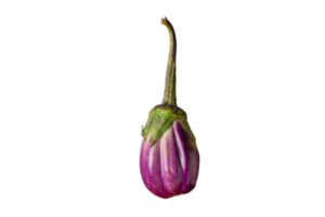 Gemüse lila Aubergine isoliert auf ein transparent Hintergrund png