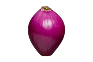 vegetales púrpura cebolla aislado en un transparente antecedentes png