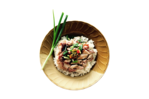Pato arroz con carne y vegetales aislado en un transparente antecedentes png