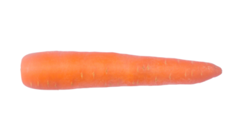 Top view photo of single fresh orange carrot vegetable isolated with clipping path in png file format