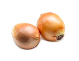 Two fresh orange onions isolated with clipping path and shadow in png format