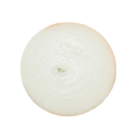 White onion half isolated with clipping path in png format