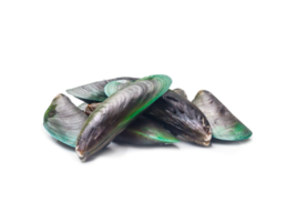 Raw food of fresh green mussels in stack isolated with clipping path and shadow in png format
