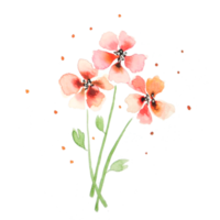 aquarela de flores vermelhas png