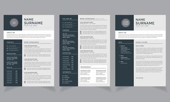 Professional Resume CV Template and Cover Letter Jobs Design Layout vector