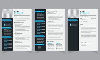 Clean and Professional Resume Color Design Template Layout  and Cover Letter Layout Set