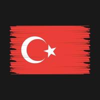 Turkey Flag Illustration vector