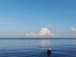 fishermen who are looking for fish around the coast photo