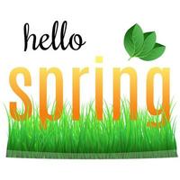 Colorful phrase Hello Spring with green leaves on the grass. vector