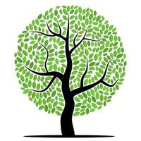 Vector tree with green leaves isolated on a white background