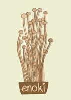 Vector isolated illustration of enoki mushrooms.